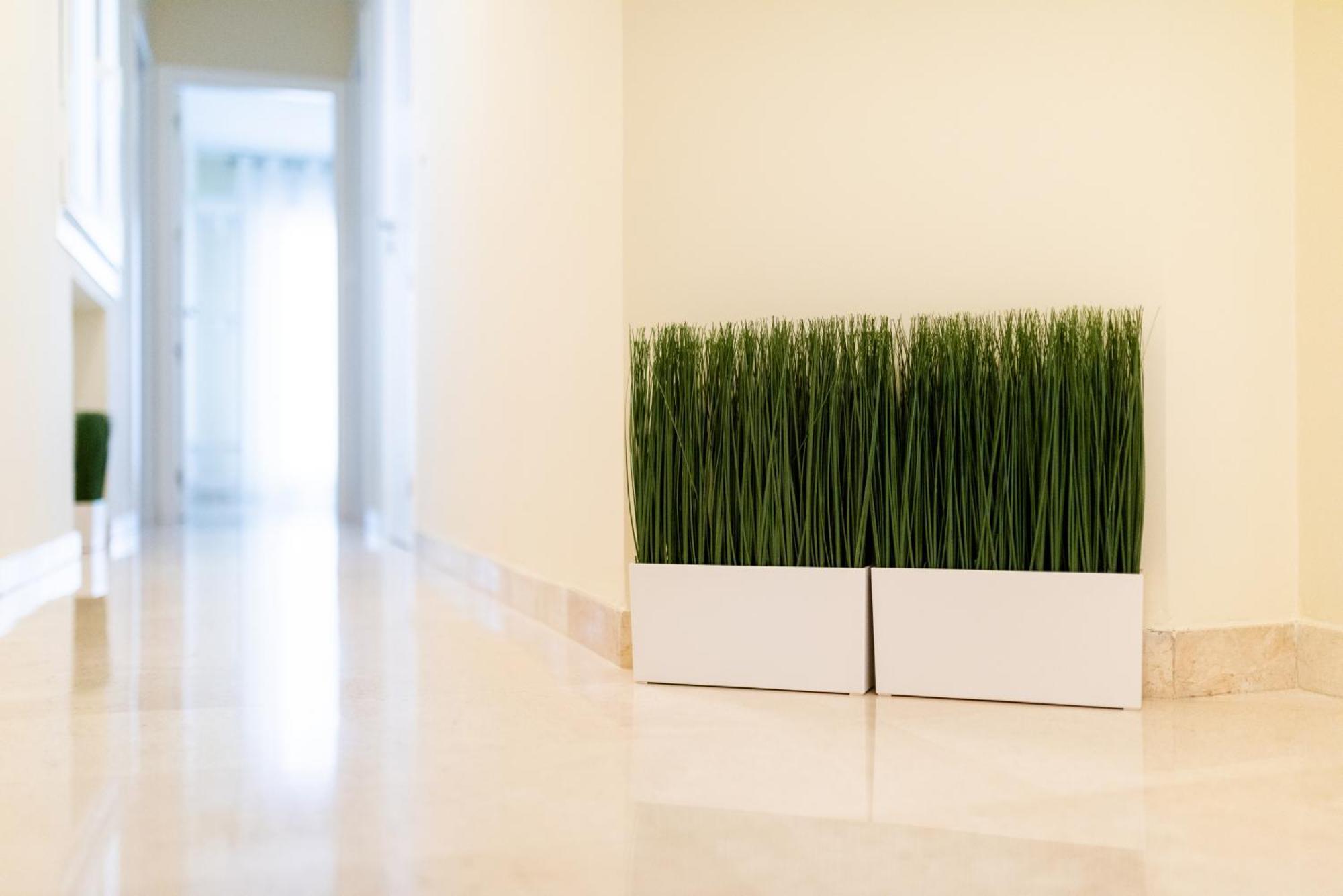 Centrico Apartamento Granada Exteriér fotografie